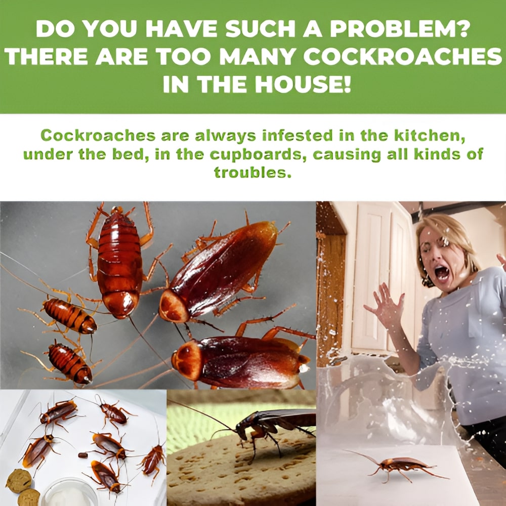 SureSafe Cockroach Gel – Eco-Safe Bait for Kitchens & Bathrooms